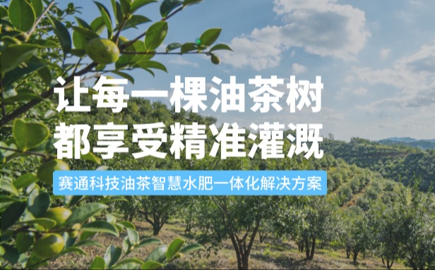 赛通科技油茶今年会jinnianhui智慧水肥一体化解决方案：让每一棵油茶树都享受精准灌溉